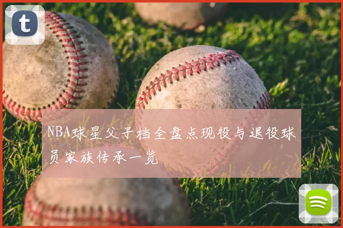 NBA球星父子档全盘点现役与退役球员家族传承一览